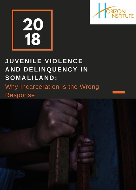 Juvenile Violence and Delinquency in Somaliland: Why Incarceration is the Wrong Response